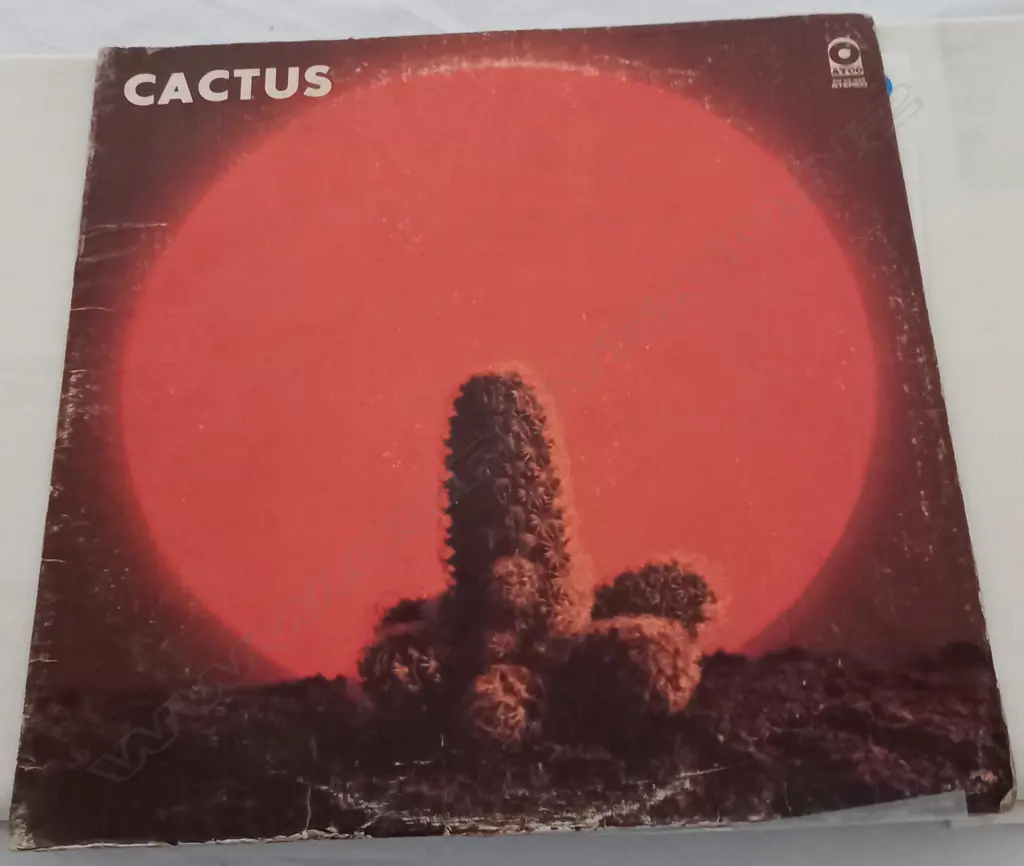 Cactus (3), Cactus Image 1++